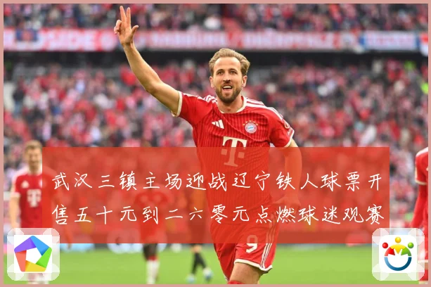 武汉三镇主场迎战辽宁铁人球票开售五十元到二六零元点燃球迷观赛数据研判-深度解析