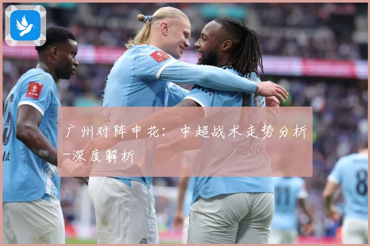 广州对阵申花：中超战术走势分析-深度解析