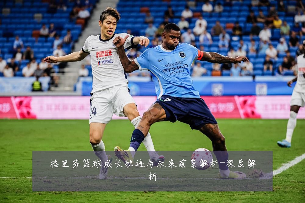 格里芬篮球成长轨迹与未来前景解析-深度解析