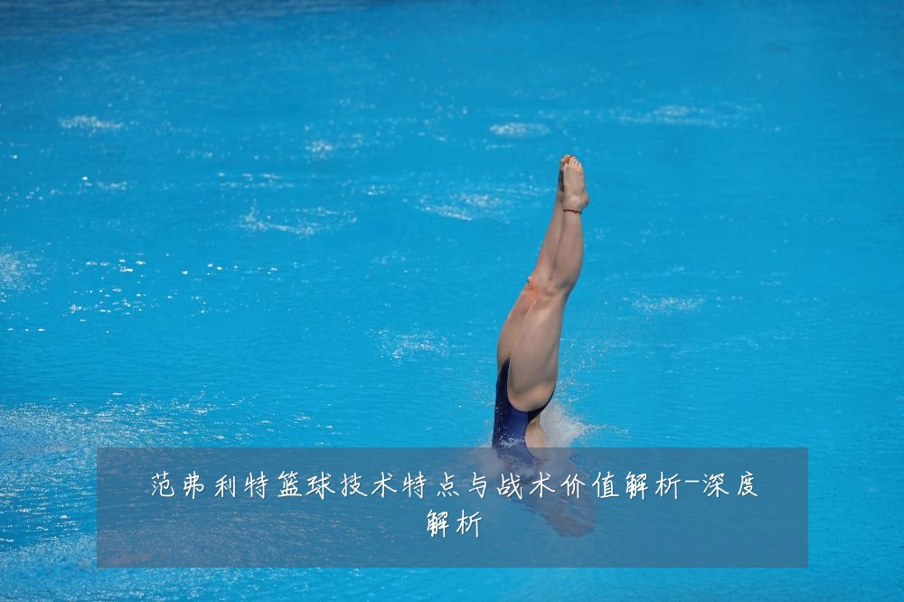 范弗利特篮球技术特点与战术价值解析-深度解析